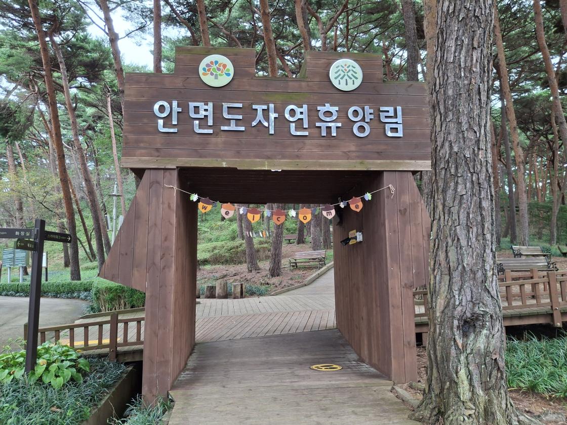 A Day in Taean Beginning in a 100-Year-Old Anmyeonsong Pine Forest
