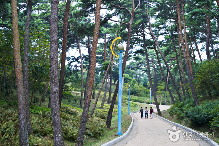 안면도 자연휴양림 전경