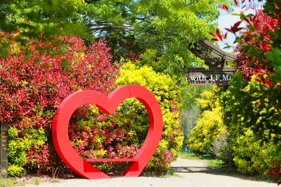 Cheongsan Arboretum in Nam-myeon, Taean, Growing Lotus Flowers Since 1990