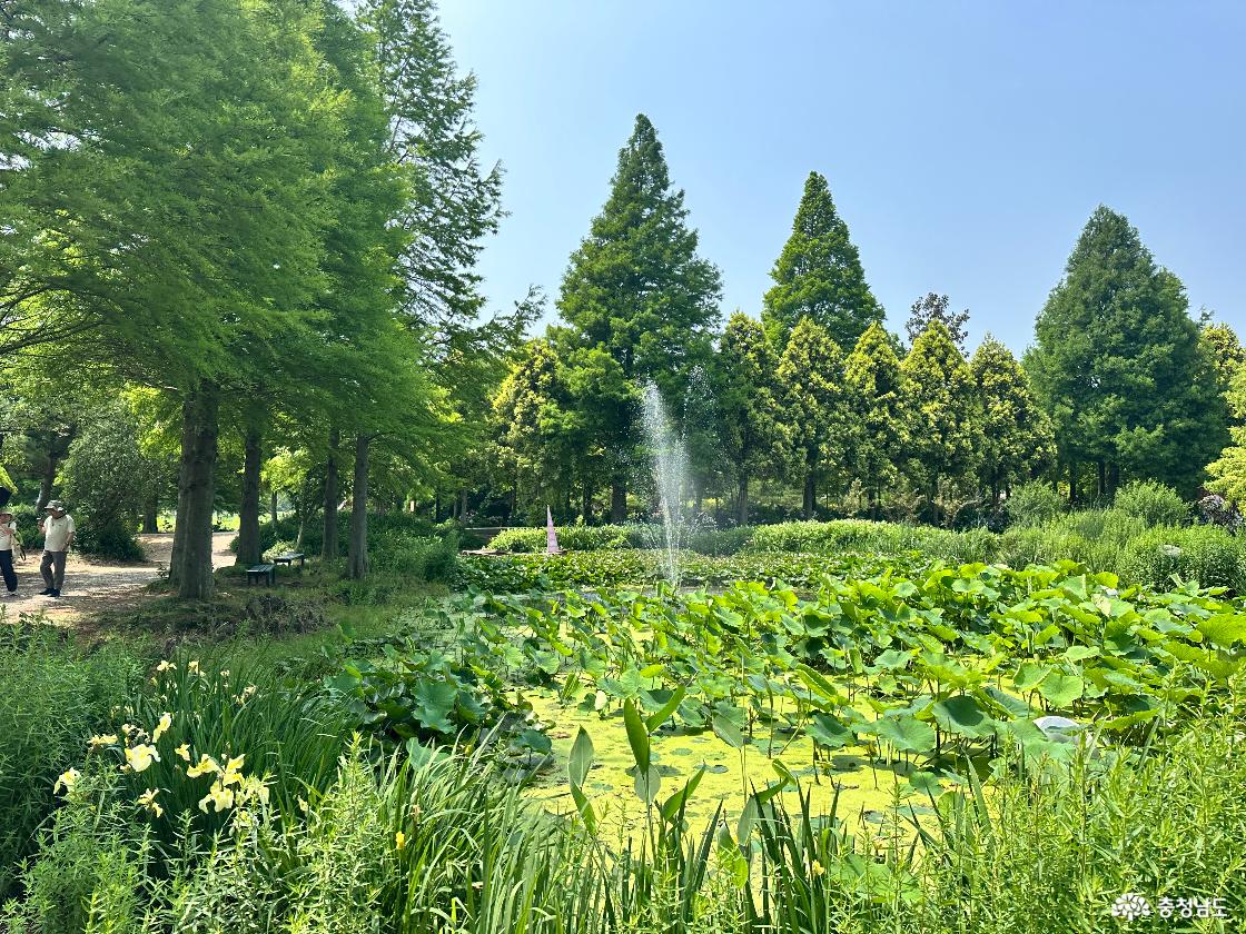 청산수목원 분수정원