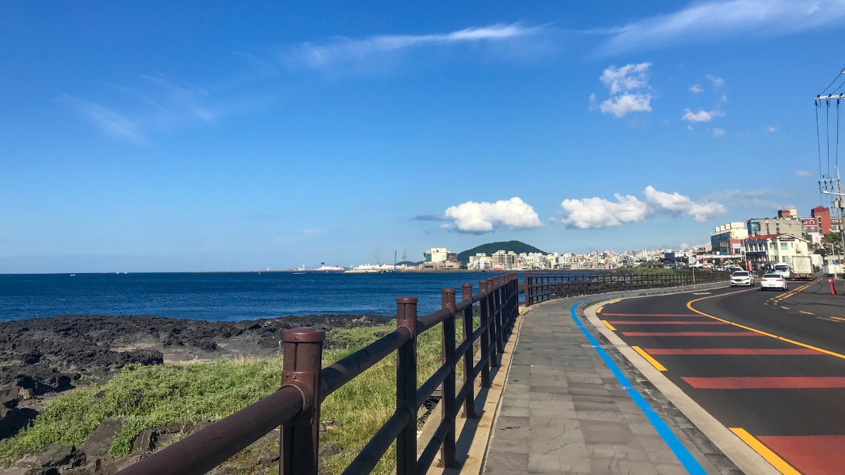 용두암해안도로의 나무 울타리와 보행로를 보여주는 사진입니다.