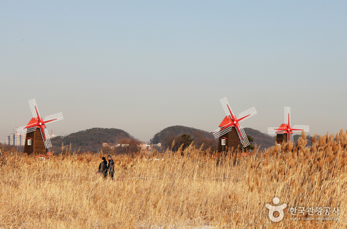 A 120-Minute Route to See an Abandoned Salt Farm and Tidal Flats Together at Sorae Wetland Ecological Park