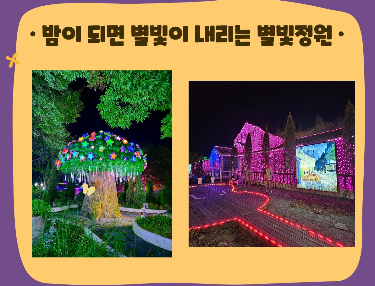 Between Daylight and the Light Festival at Cheongdo Provence Photo Land