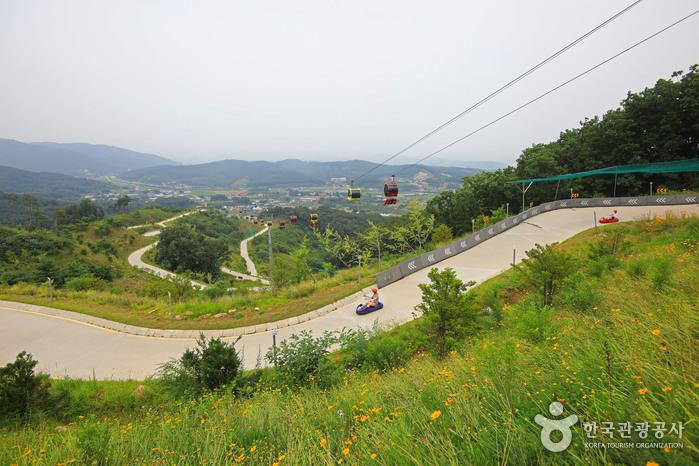 1.8 km Luge Track on Gilsangsan Mountain and 360° Observation Deck: How to Use Ganghwa Seaside Resort