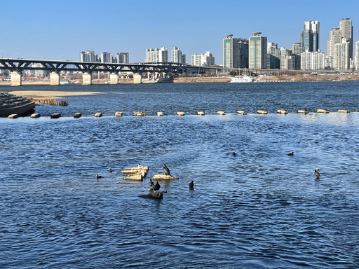 잠실한강공원 수변 공간을 담은 사진입니다.