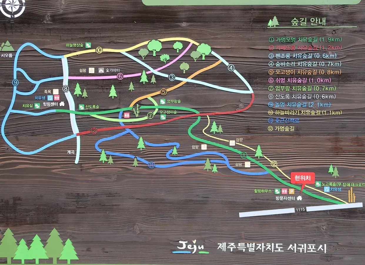 제주어 이름을 가진 서귀포치유의숲 숲길 풍경입니다.