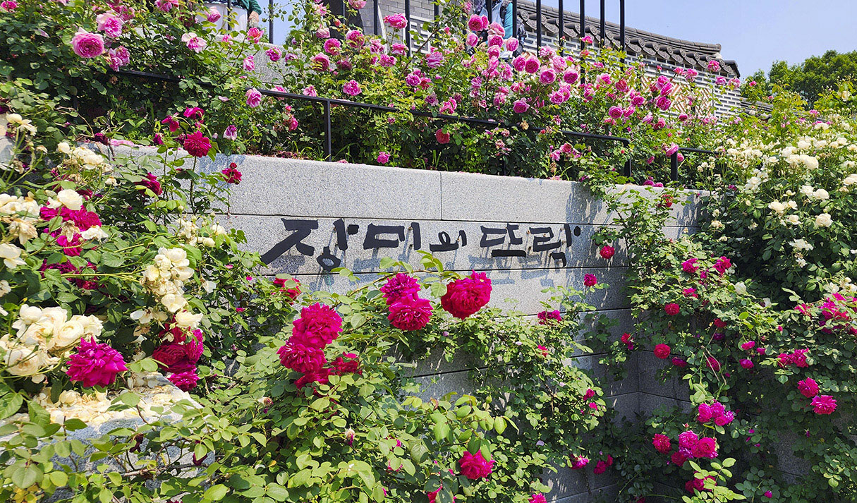 무료로 개방되는 전주수목원의 정원 구역을 보여주는 사진입니다.