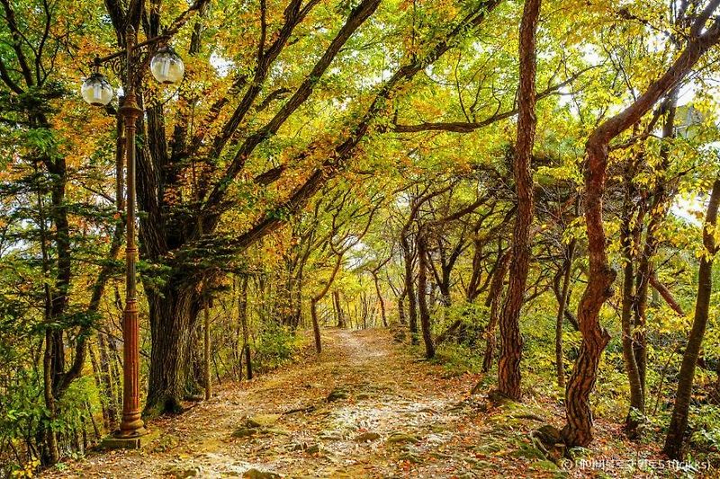 완산칠봉 능선에서 전주 시내를 바라보는 모습입니다.