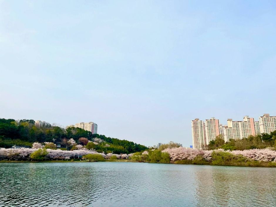 4km 물길과 선암댐을 따라 걷는 선암호수공원