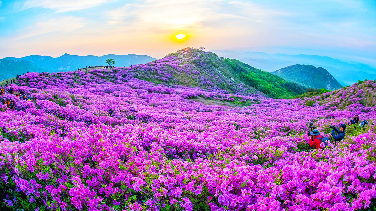 황매산 철쭉평전과 정상주차장 사이, 처음 가는 날의 실제 동선