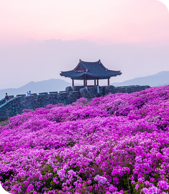 황매산 능선과 고원 지형을 보여주는 풍경입니다.