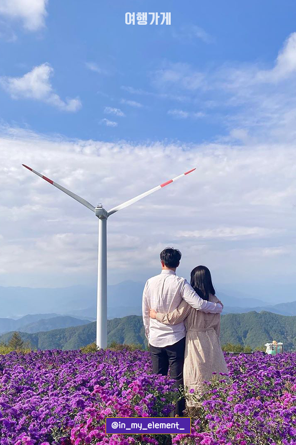 감악산 꽃밭 사이로 풍력발전기가 보이는 풍경입니다.
