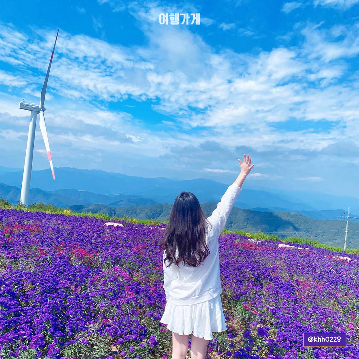 감악산 정상에서 꽃밭과 능선을 바라보는 풍경입니다.