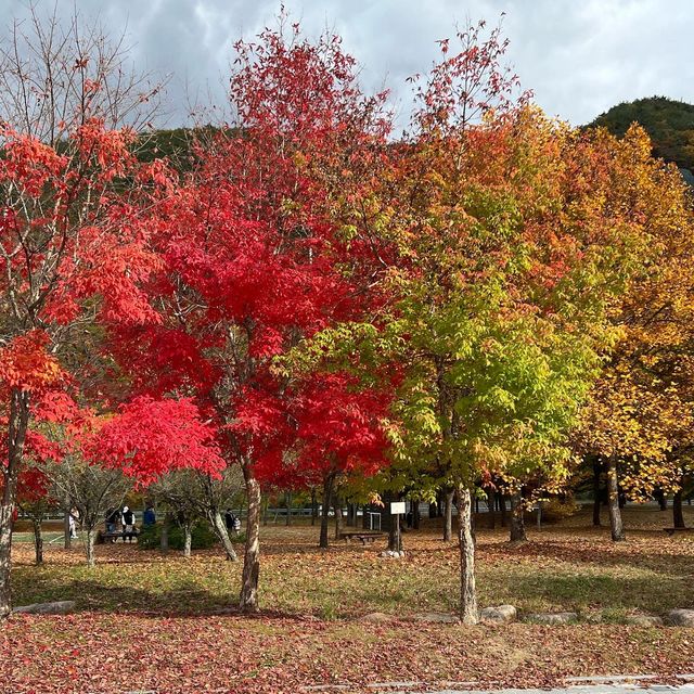 밀양댐 생태공원의 산책 공간과 녹지 풍경 사진입니다.
