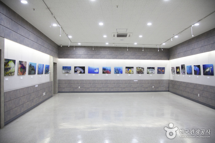 부산어촌민속관의 어촌민속 전시 공간입니다.