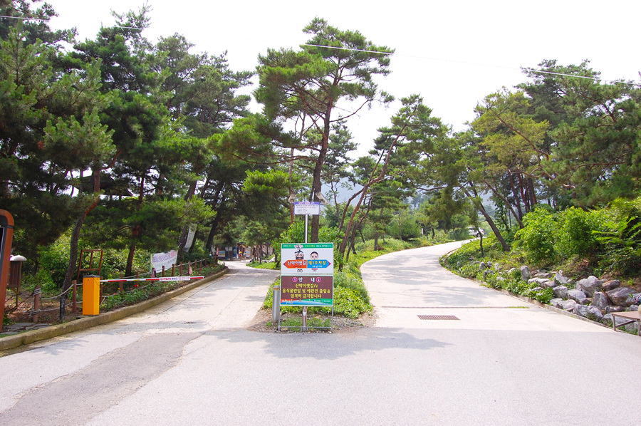 산막이옛길에서 바라본 괴산호와 숲의 풍경입니다.