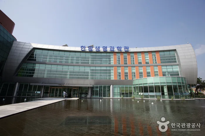 제천 한방엑스포공원 방문객이 참고할 수 있는 현장 풍경 사진입니다.