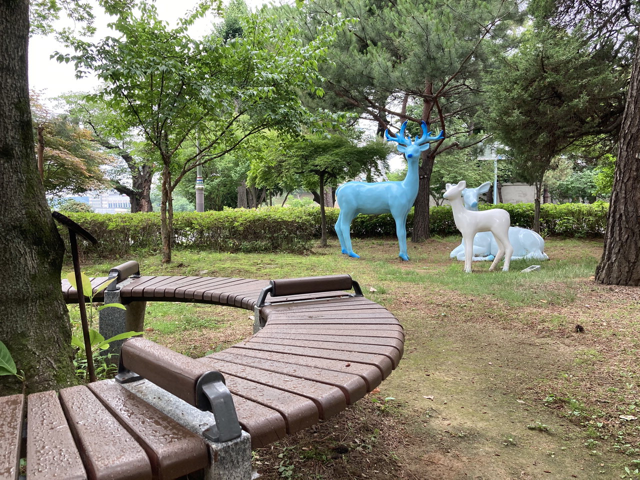 충북문화관 야외정원과 건물이 함께 보이는 장면입니다.