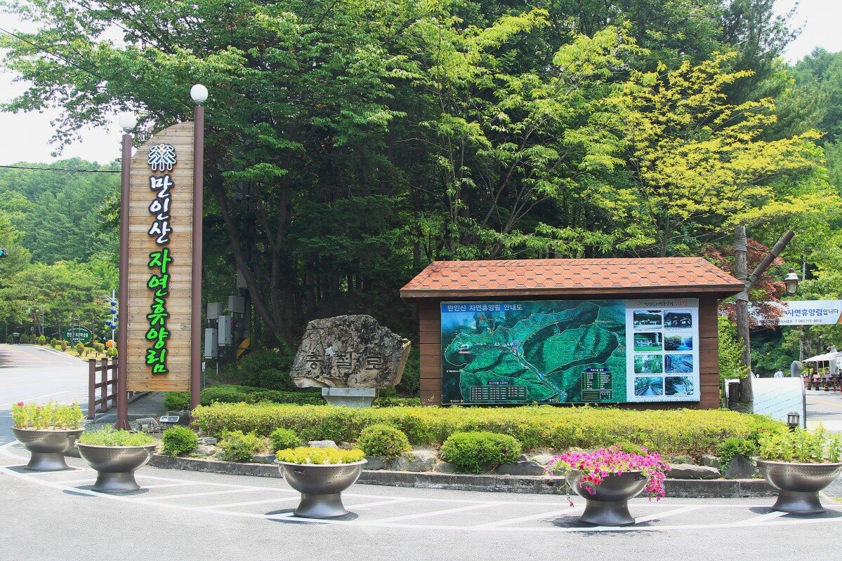 만인산자연휴양림에서 숲길과 만인산푸른학습원을 함께 보는 법