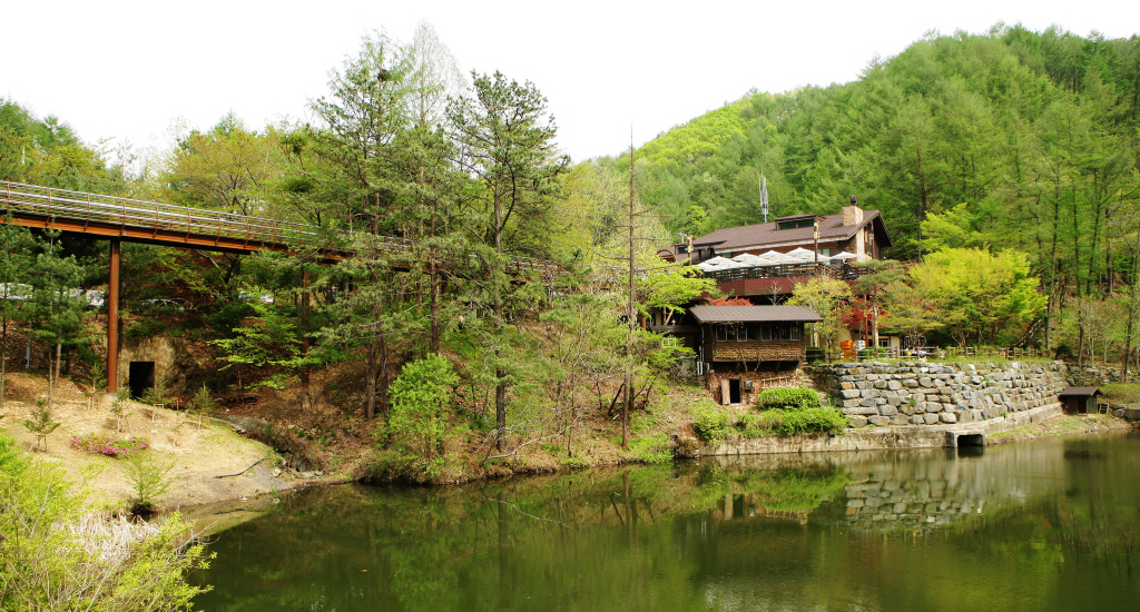 대전 동구 만인산자연휴양림의 산림 풍경입니다.