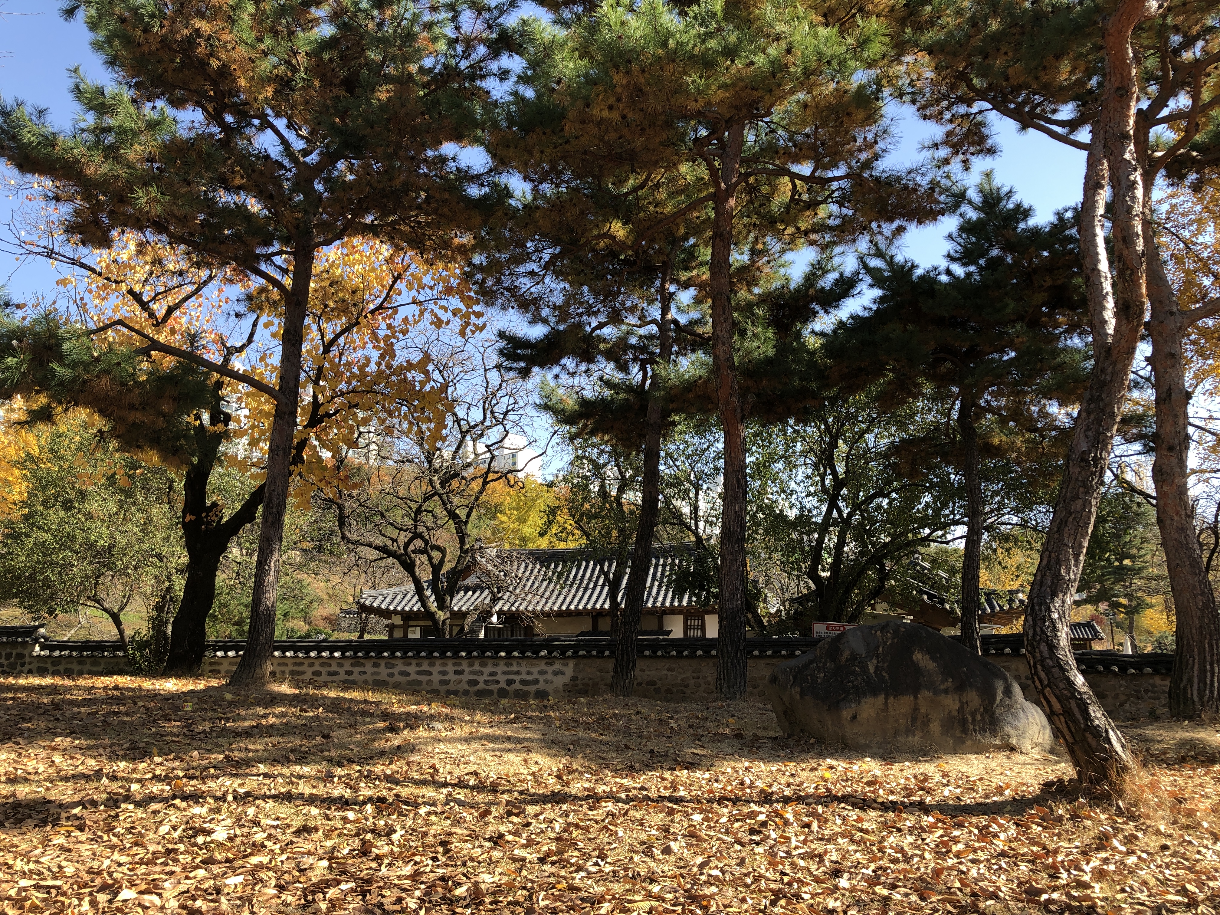 동춘당공원 주변 고택과 전통 경관을 담은 방문 사진입니다.