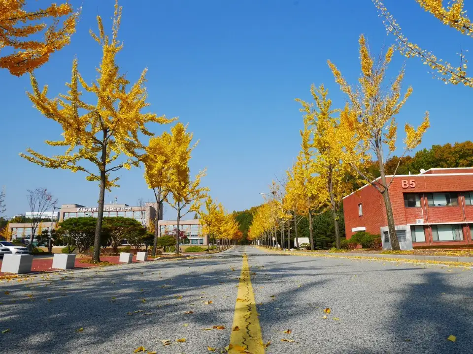지질박물관의 체험형 전시 공간을 담은 사진입니다.