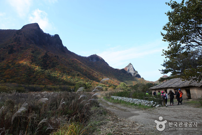 알봉과 산자락이 보이는 나리분지 풍경입니다.