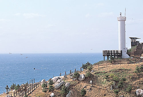 영덕 풍력발전단지의 발전기와 해안 풍경을 함께 담은 장면입니다.