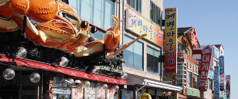 강구항 대게거리에서 위판장과 식당가를 함께 보는 법