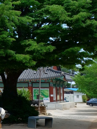 은해사에서 맞이하는 이른 시간대의 산사 풍경입니다.