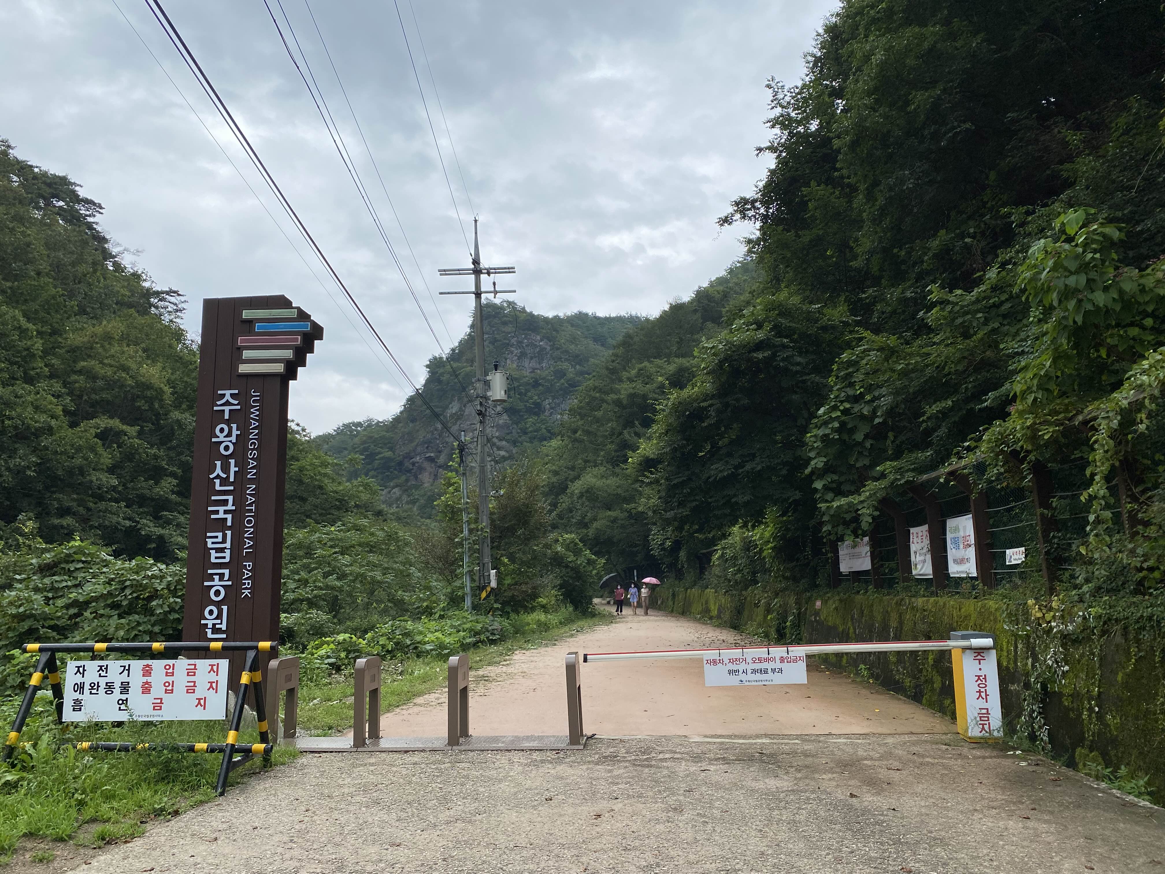 주차장 이후 주산지 전망대로 이어지는 산책로입니다.