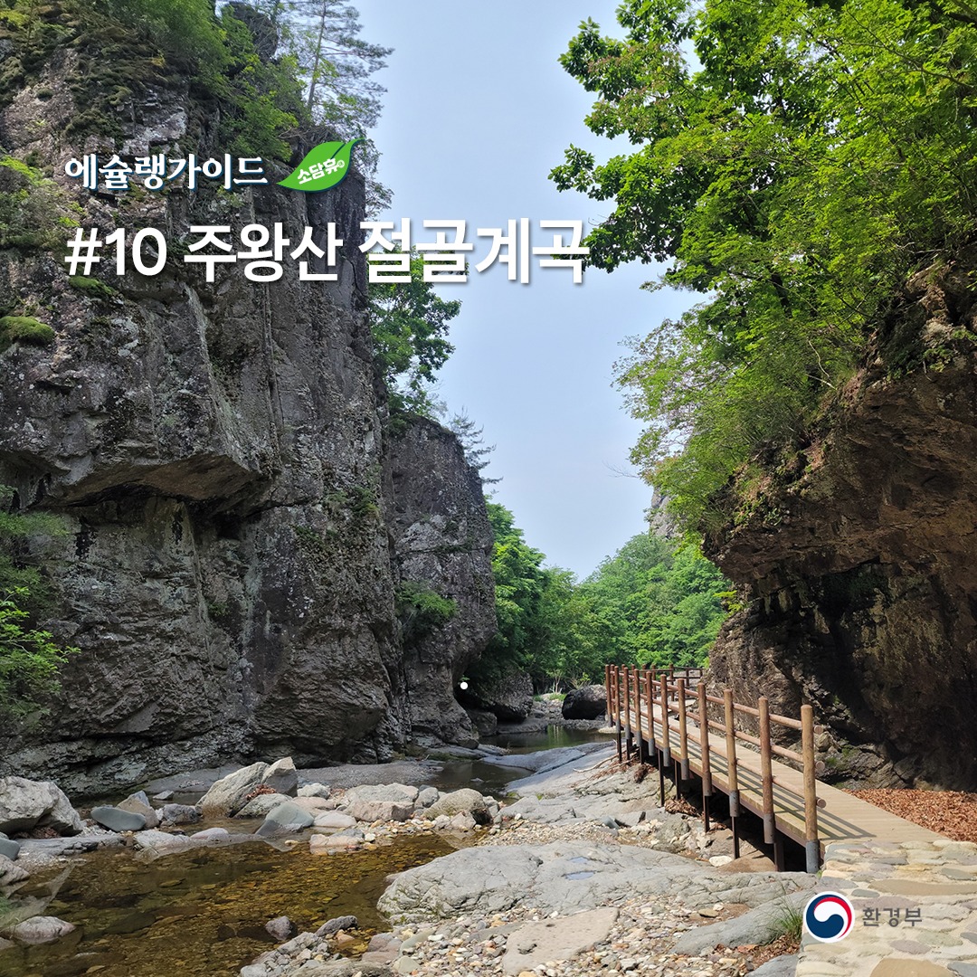 절골계곡의 바위와 물길을 따라 탐방하는 모습입니다.