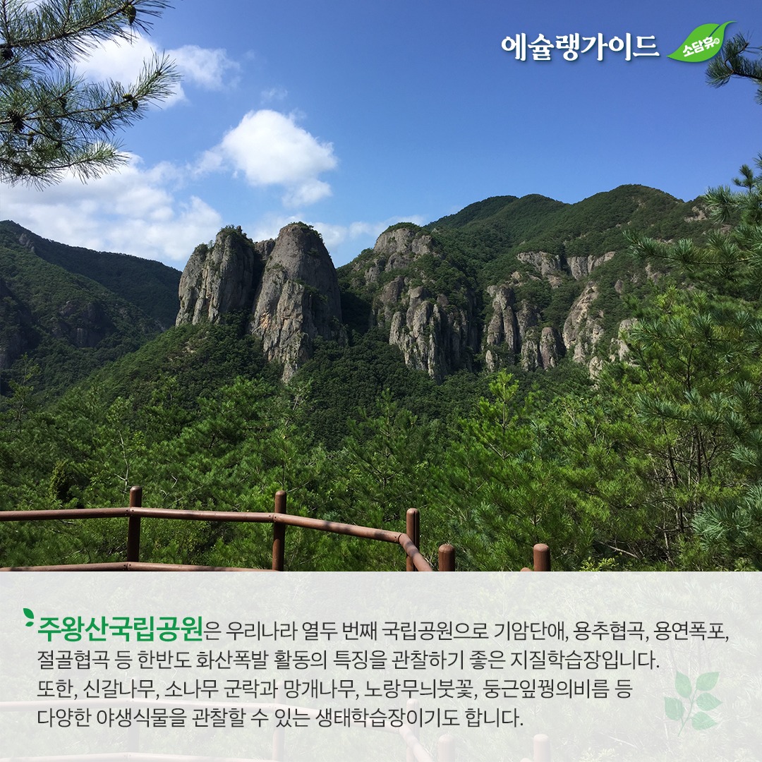 절골계곡의 계곡물과 탐방객 이동 구간을 담은 사진입니다.