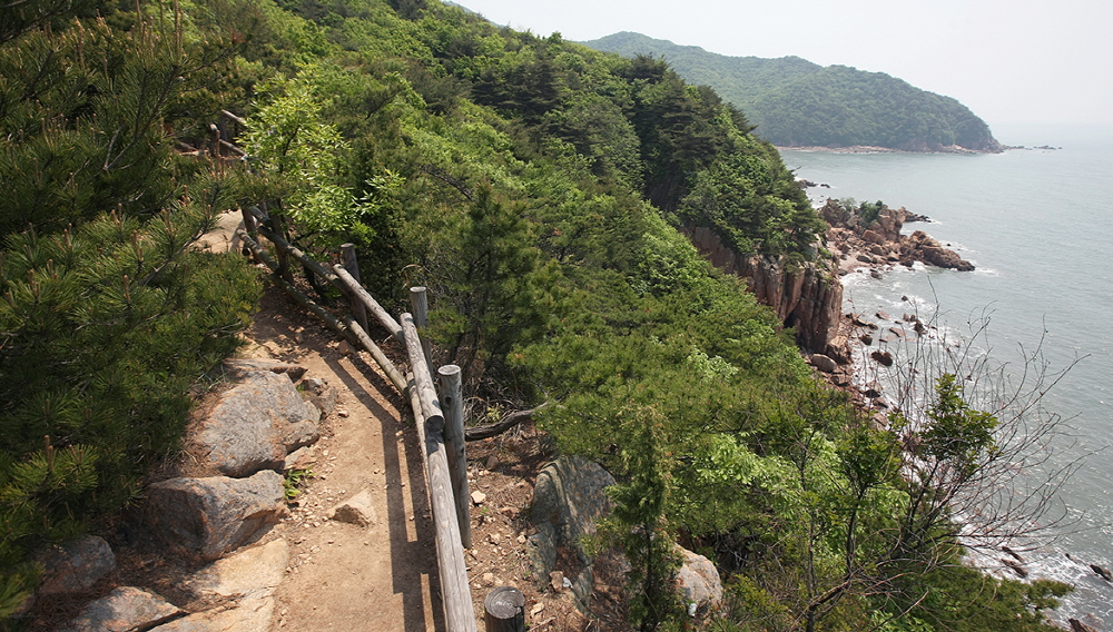 How Muui Island Changed After Muui Bridge: 2.5 km Walk Across Hanagae Mudflats and Somuui Island