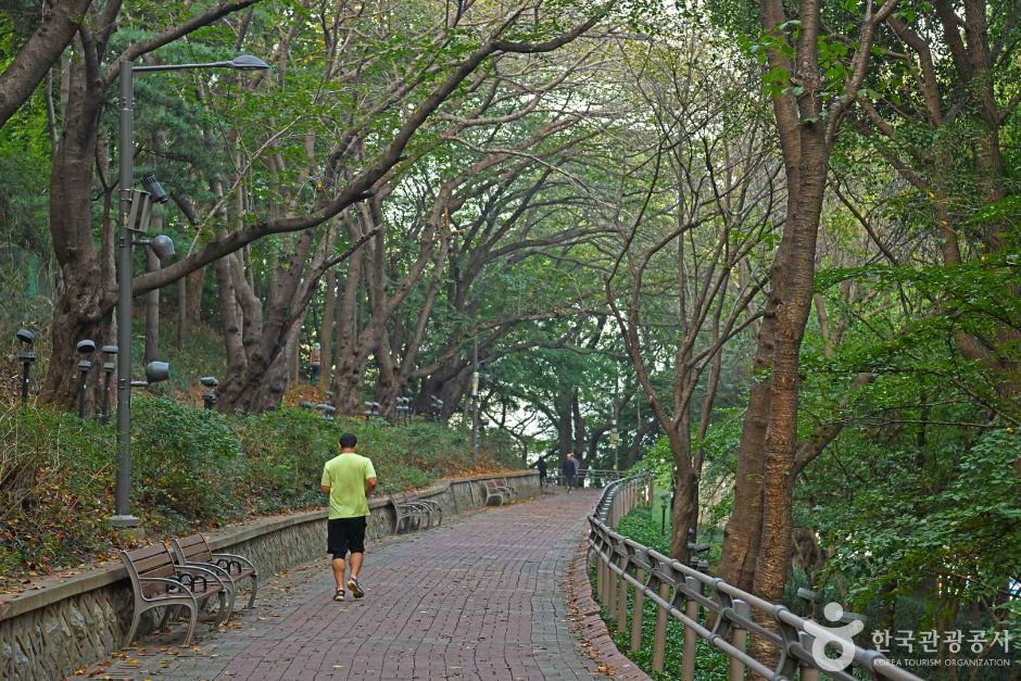 인천역과 차이나타운에서 자유공원으로 이어지는 개항장 동선입니다.