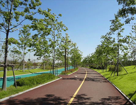 Cheongna Lake Park 4.3 km Walking Trail and 8 PM Musical Fountain