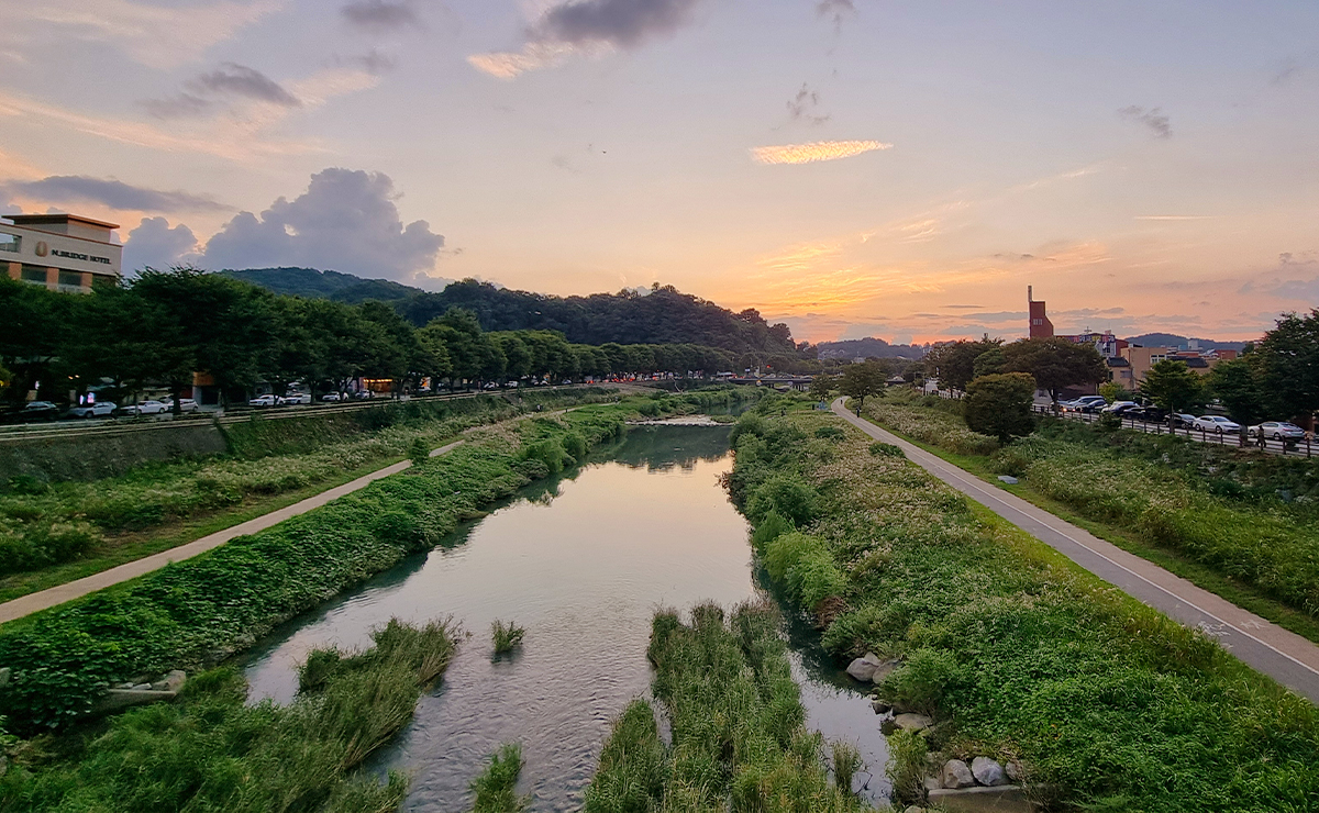 전주천변의 계절 식생과 산책 공간을 담은 사진입니다.