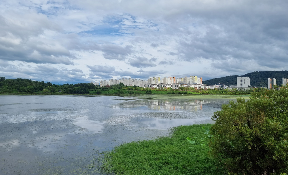 기지제 횡단 산책로에서 바라본 수변 풍경입니다.