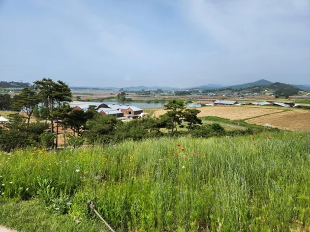 상하농원에서 동물과 교감하는 체험 장면을 담은 사진입니다.