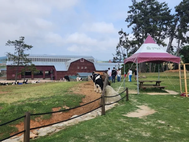 상하농원의 체험과 휴식을 함께 즐길 수 있는 공간을 담은 사진입니다.