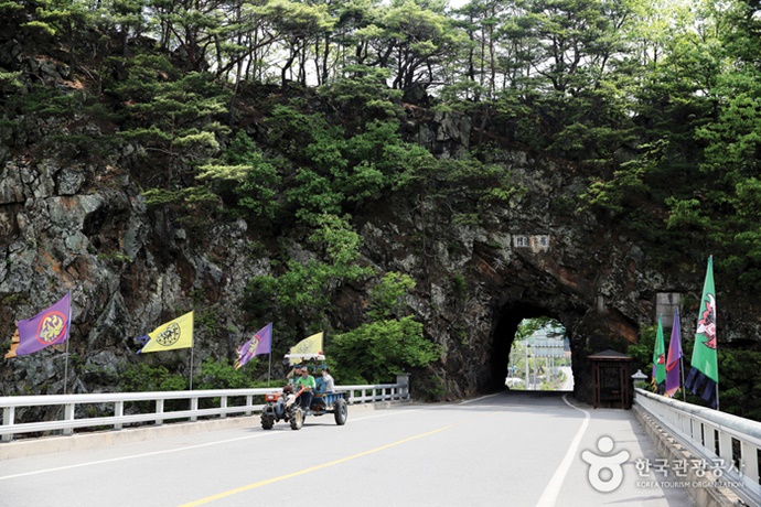 동굴 안 나무 창고에 머루와인이 보관된 모습입니다.