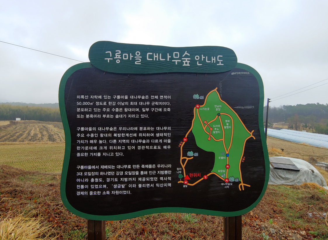 구룡마을 대나무숲 초입의 종합 안내판과 산책로 지도입니다.