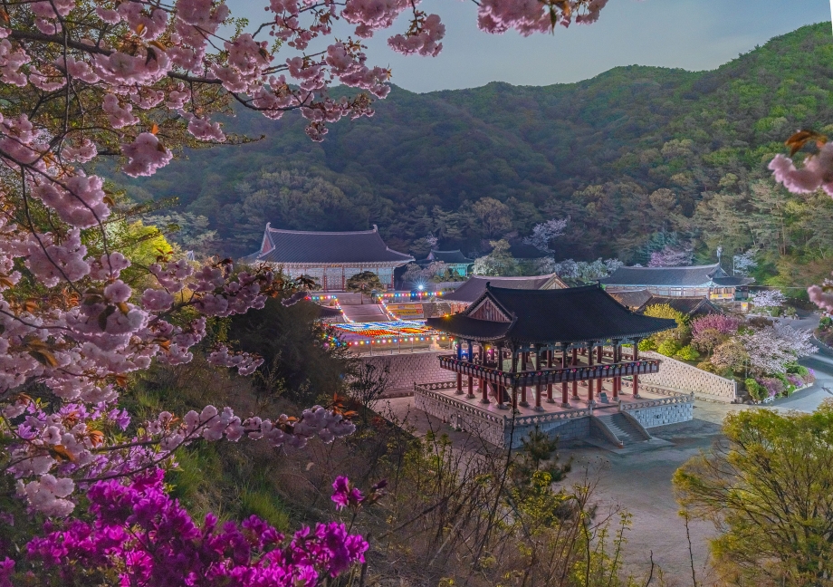 각원사 청동대불인 아미타불 좌불상을 올려다본 모습입니다.
