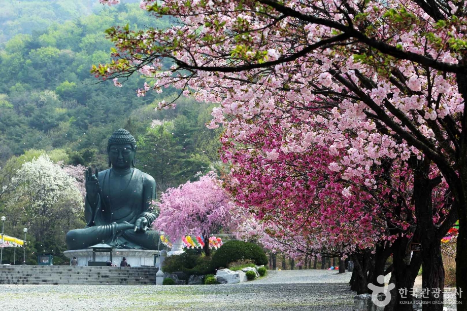 각원사 경내 전각과 누각식 종각을 살펴볼 수 있는 장면입니다.