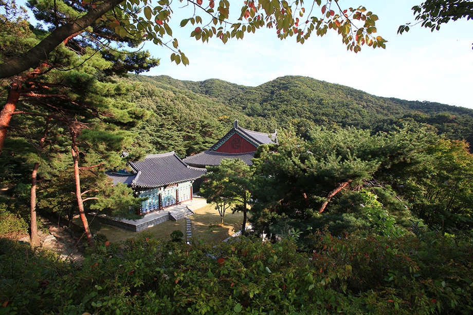 각원사의 겹벚꽃 산책로를 담은 모습입니다.