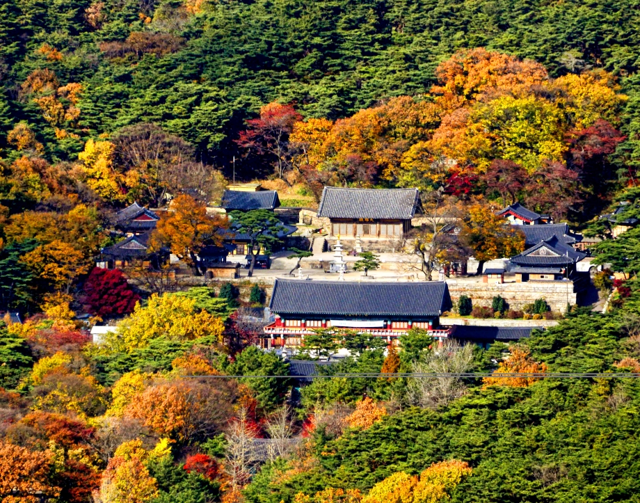 한산모시관 건물과 관람 공간의 모습을 보여주는 사진입니다.