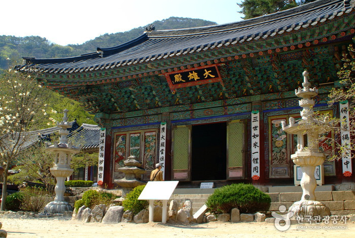 동학사 경내 건축물과 산자락이 함께 보이는 모습입니다.