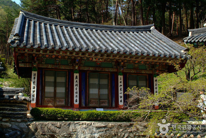 동학사로 이어지는 계룡산 탐방 공간을 보여주는 사진입니다.