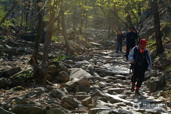 동학사계곡의 돌계단 등산로를 탐방객이 오르는 모습입니다.