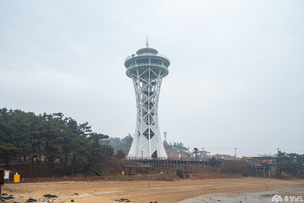 천수만 제철 수산물과 노을전망대를 함께 보는 홍성 남당항